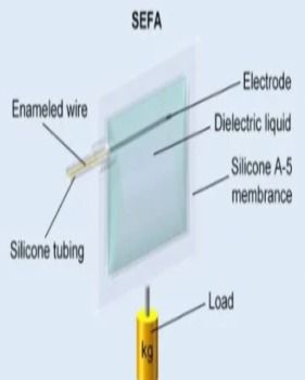 柔性電子與人工智能 驅動智能制造的新興雙引擎